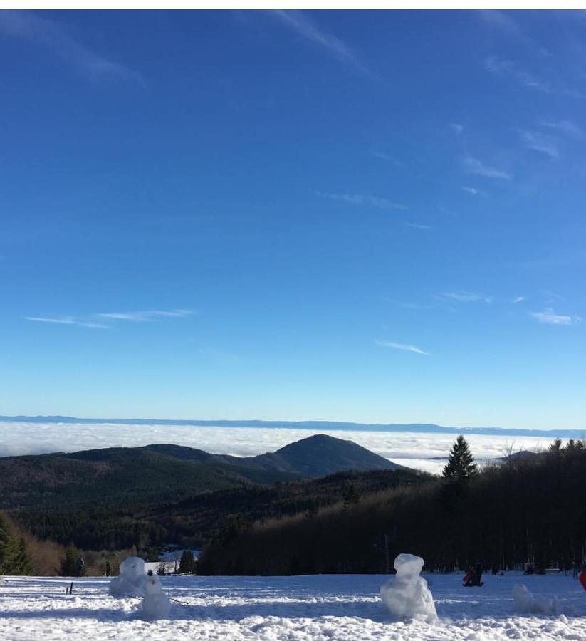 Gite Magnolia Chatenois Alsace Екстериор снимка
