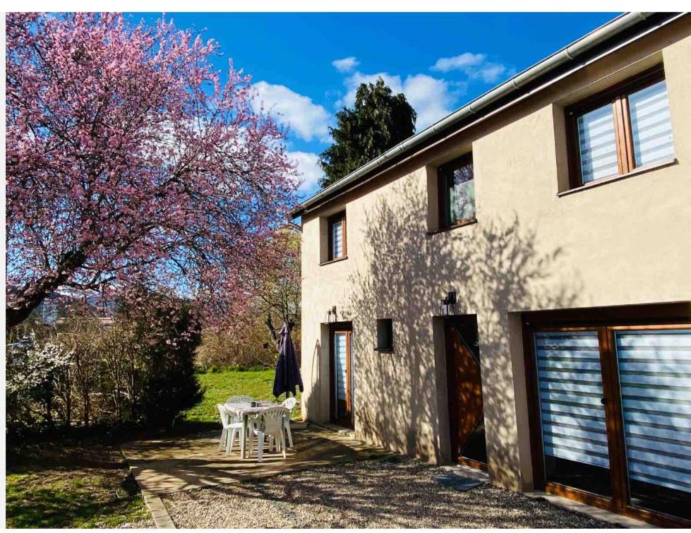 Gite Magnolia Chatenois Alsace Екстериор снимка